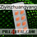Ziyinzhuangyang 26